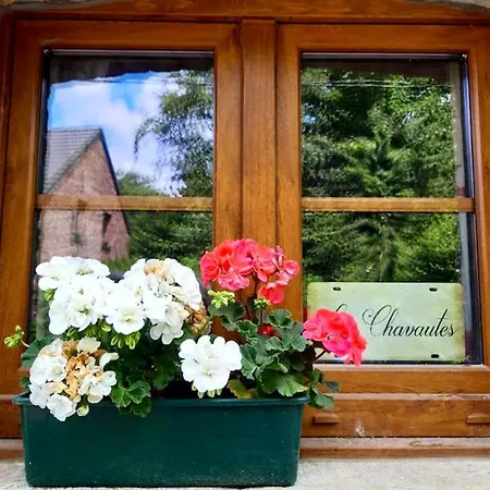 Charming House In Scy, Hamois With Enclosed Garden * Scy