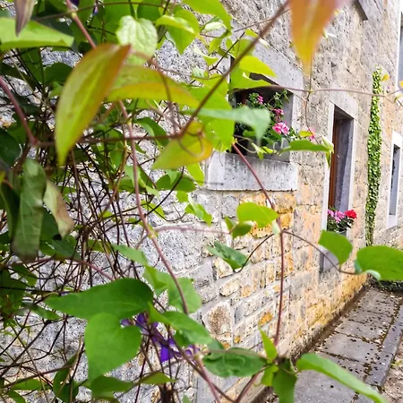 Hébergement de vacances Charming House In Scy, Hamois With Enclosed Garden Scy